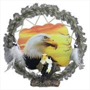 Buy Eagle Head Dreamcatcher Plaque with Holographic Artwork
