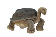 Buy Galapagos Turtle 30cm