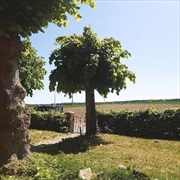 Buy Into The Second Half