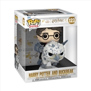 Buy Harry Potter - Harry & Buckbeak Pop! Ride