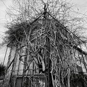 Buy Dead Decades (Silver Vinyl)