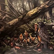 Buy Step Into The Light