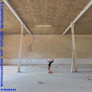 Buy What An Enormous Room (Peak Vinyl Blue/White)