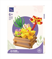 Buy Succulent Garden - Summer Dew (364 pc)