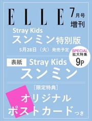 Buy Elle 2024. 07. Special (Japan) [Cover : Stray Kids Seungmin]