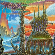 Buy When Time Becomes Loss