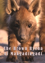 Buy Brown Hyena Of Makgadikgadi
