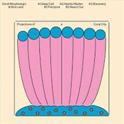 Buy Projections Of A Coral City