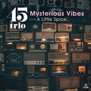Buy Mysterious Vibes / A Little Spice