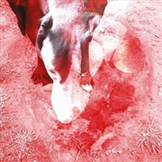 Buy Moonlight Shadoh