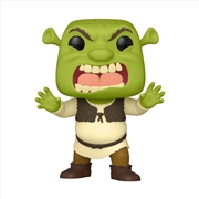 Buy Shrek - Scary Shrek (DreamWorks 30th Anniversary) US Exclusive Pop! Vinyl [RS]