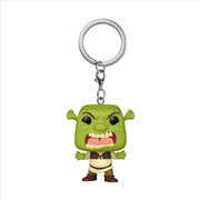 Buy Shrek - Scary Shrek (DreamWorks 30th Anniversary) US Exclusive Pop! Keychain [RS]
