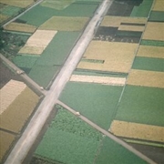 Buy Perfectly Beneath Us: Remaster