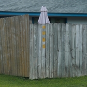 Buy Lived Here For A While