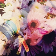 Buy Illuminated 1989
