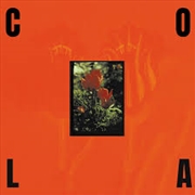 Buy Gloss - Transparent Olive Green