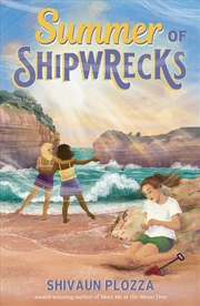 Buy Summer of Shipwrecks