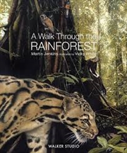 Buy Walk Through The Rainforest