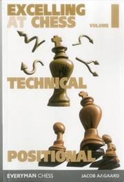 Buy Excelling At Chess: Technical And Positional (Volume 1)