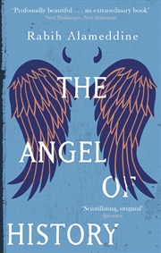 Buy The Angel Of History