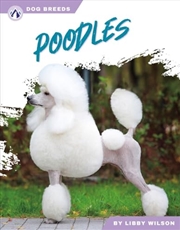 Buy Poodles (Dog Breeds)
