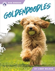 Buy Goldendoodles (Dog Breeds)