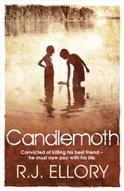 Buy Candlemoth