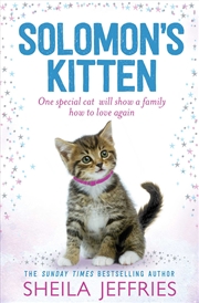 Buy Solomons Kitten