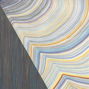 Buy Breaking The Shell (Vinyl)