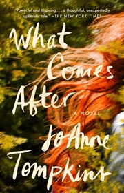 Buy What Comes After: A Novel