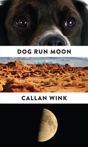 Buy Dog Run Moon: Stories