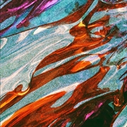 Buy Closer Than Well Ever Know Vinyl