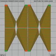 Buy Shuffling The Cards Again