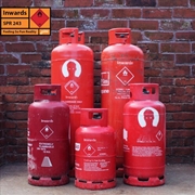 Buy Feeling So Fun Reality