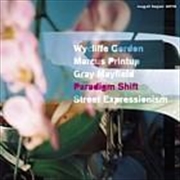 Buy Street Expressionism