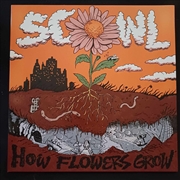 Buy How Flowers Grow