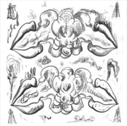 Buy Criminals / Illusions