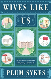 Buy Wives Like Us: 'Brilliantly satirical' Daily Mail