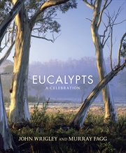 Buy Eucalypts