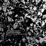 Buy There's No Underground