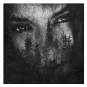 Buy Ashes Of Light The (Silver Vinyl)