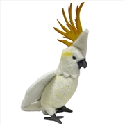 Buy Citron Crested Cockatoo 34cm H