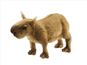Buy Capybara 33 Cm.L