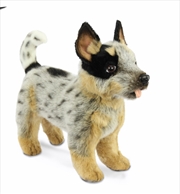 Buy Blue Heeler Puppy Standing 41cm