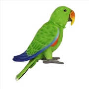 Buy Poseable Electus Parrot - Male