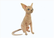 Buy Sphynx Cat Sitting 33cm H