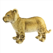 Buy Lion Standing 70cm.L