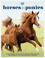 Buy Horses & Ponies