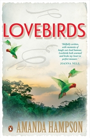 Buy Lovebirds