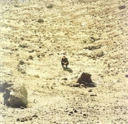 Buy Noonday Dream: Dlx Ed